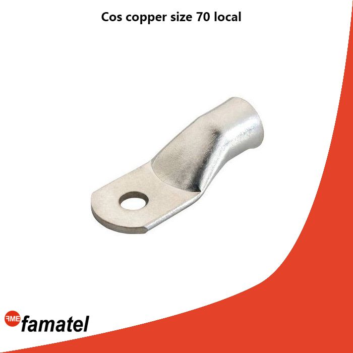 Cos copper size 70 local