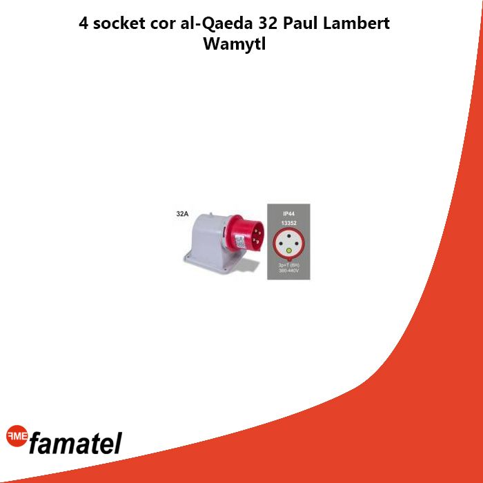 4 socket cor al-Qaeda 32 Paul Lambert Wamytl