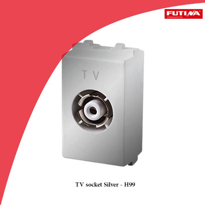 TV socket Silver - H99