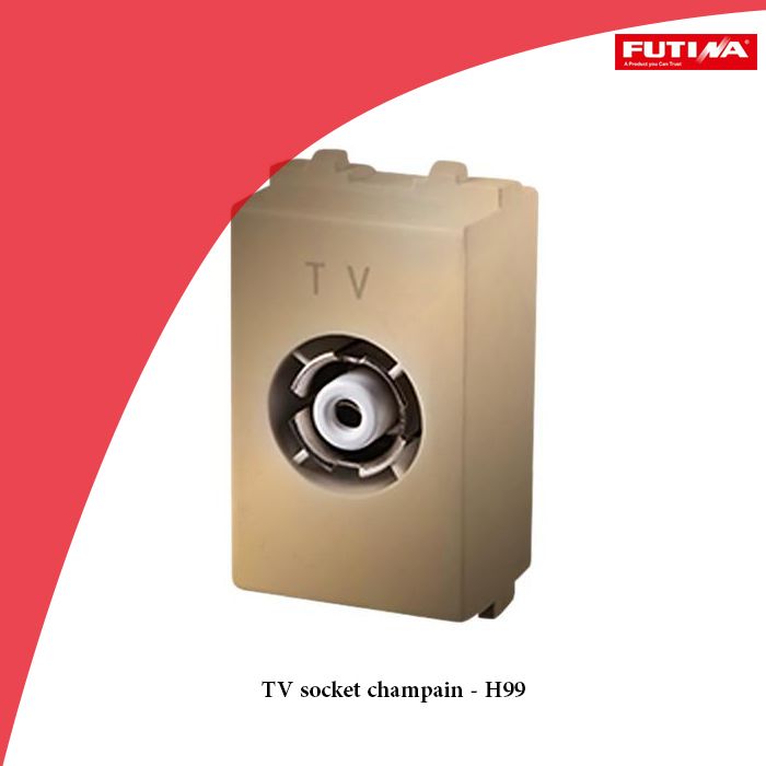 TV socket champain - H99
