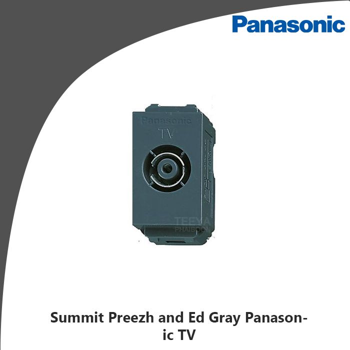 Summit Preezh and Ed Gray Panasonic TV