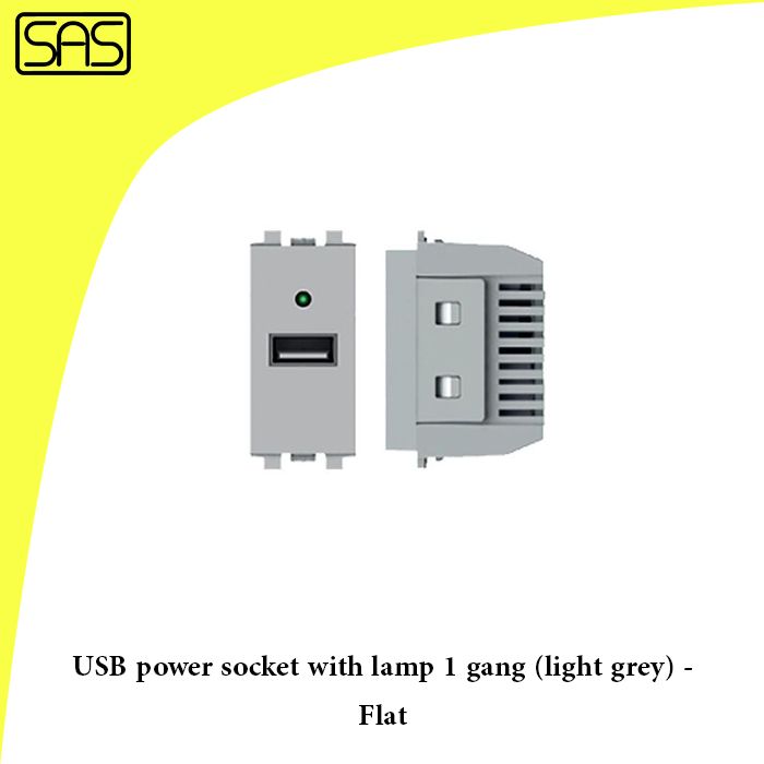 USB power socket with lamp 1 gang (light grey) - Flat
