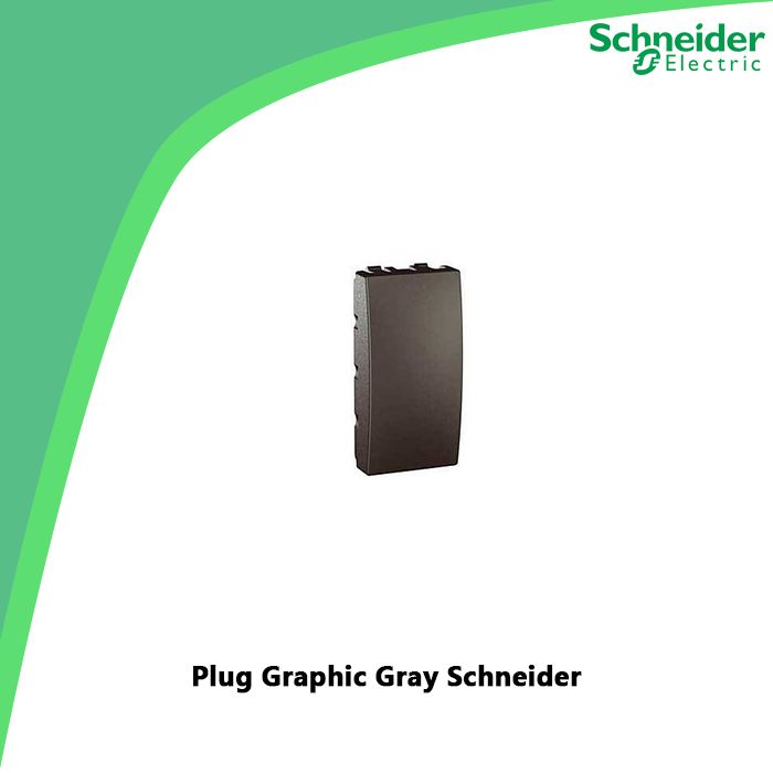 Plug Graphic Gray Schneider