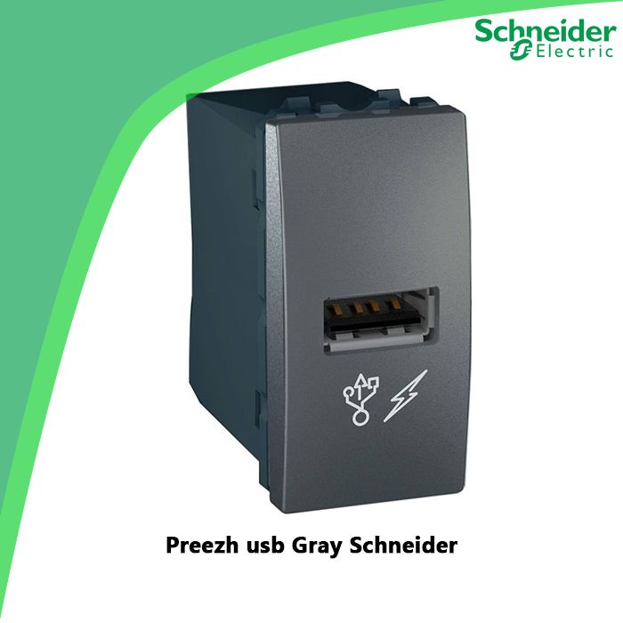 Preezh usb Gray Schneider