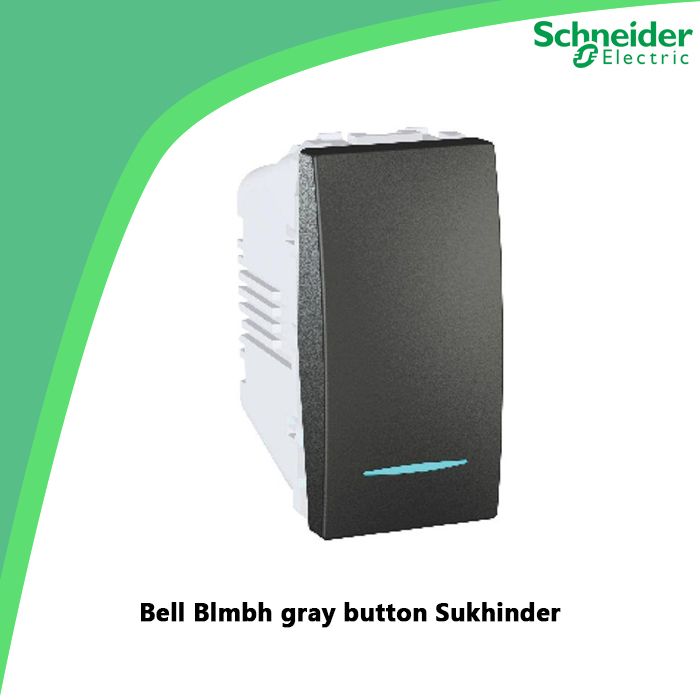 Bell Blmbh gray button Sukhinder