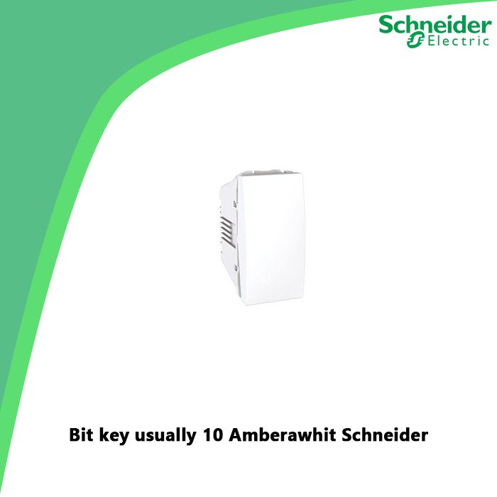 Bit key usually 10 Amberawhit Schneider
