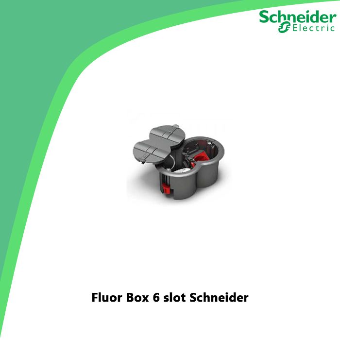 Fluor Box 6 slot Schneider