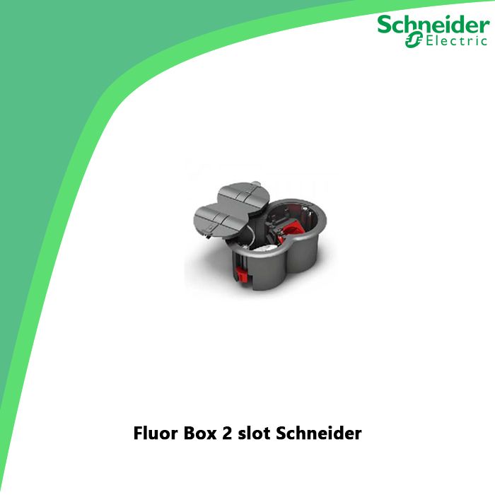 Fluor Box 2 slot Schneider