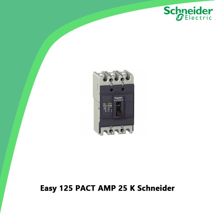 Easy 125 PACT AMP 25 K Schneider
