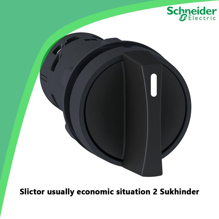 Slictor usually economic situation 2 Sukhinder
