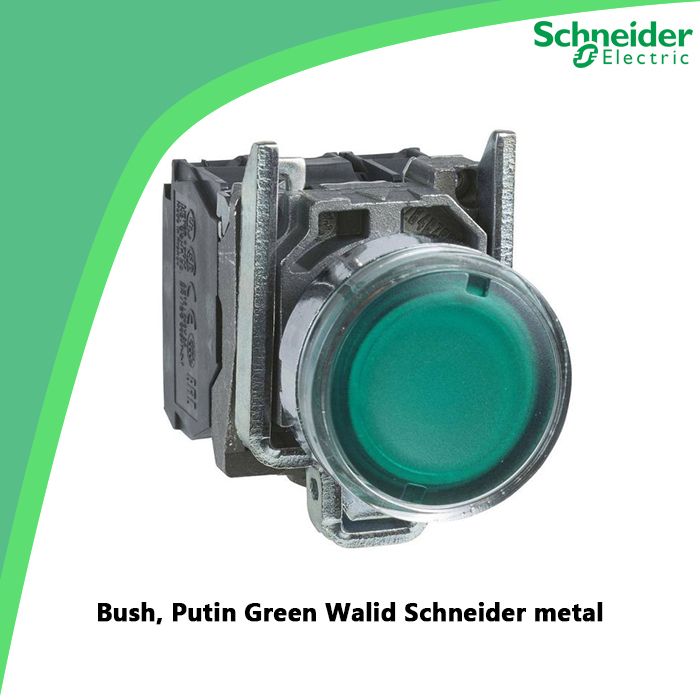 Bush, Putin Green Walid Schneider metal