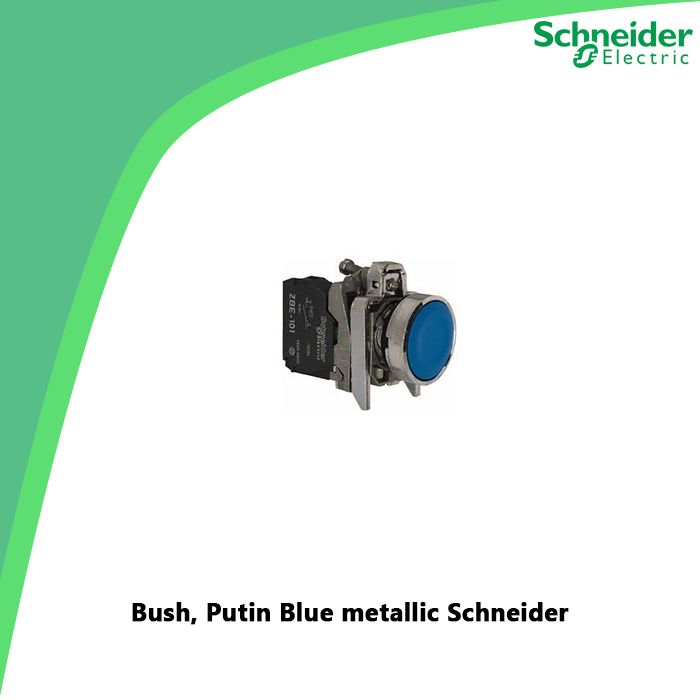 Bush, Putin Blue metallic Schneider