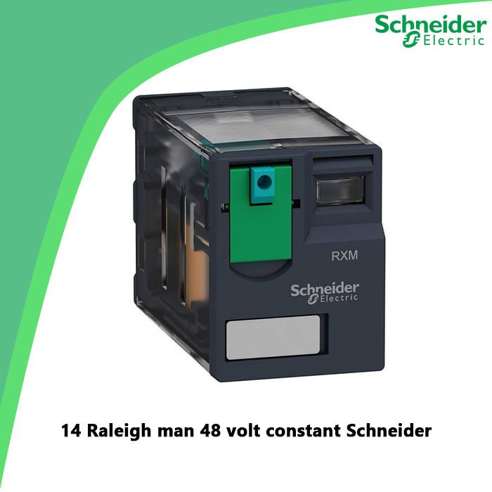 14 Raleigh man 48 volt constant Schneider