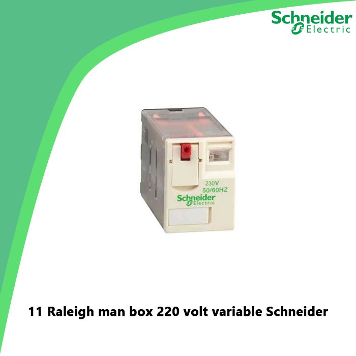 11 Raleigh man box 220 volt variable Schneider