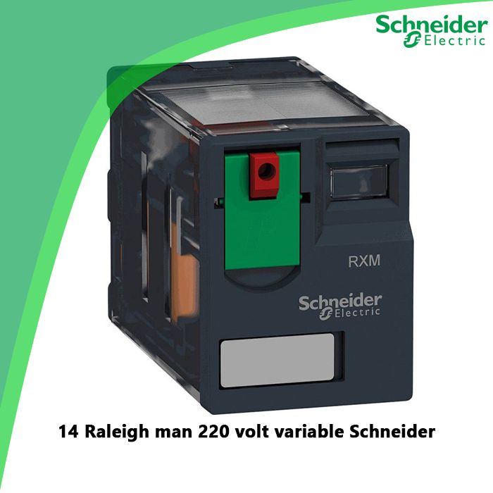 14 Raleigh man 220 volt variable Schneider