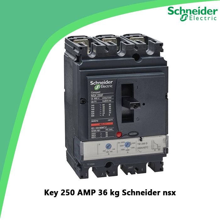 Key 250 AMP 36 kg Schneider nsx