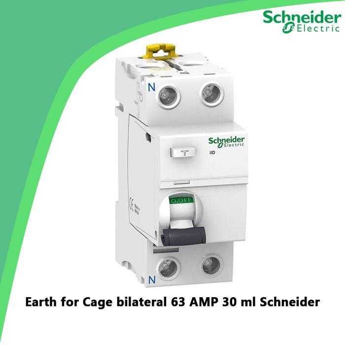 Earth for Cage bilateral 63 AMP 30 ml Schneider