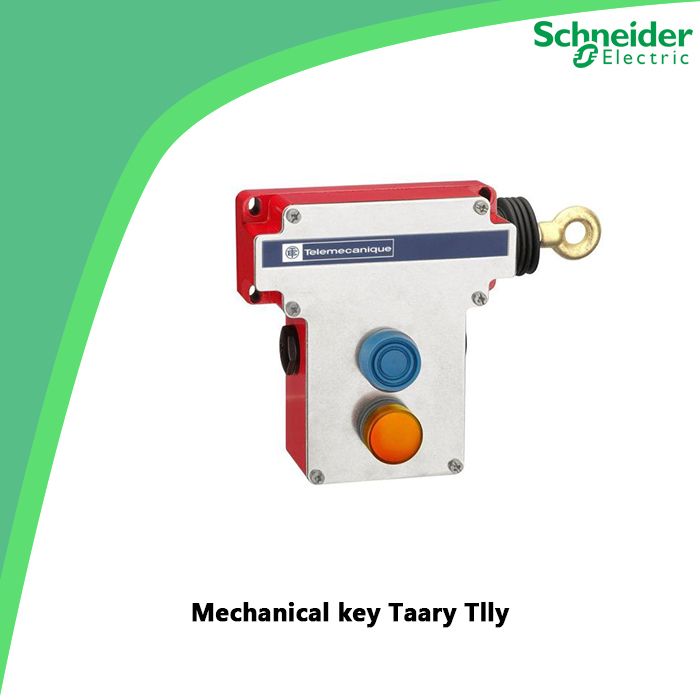 Mechanical key Taary Tlly