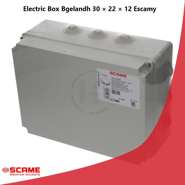 Electric Box Bgelandh 30 × 22 × 12 Escamy