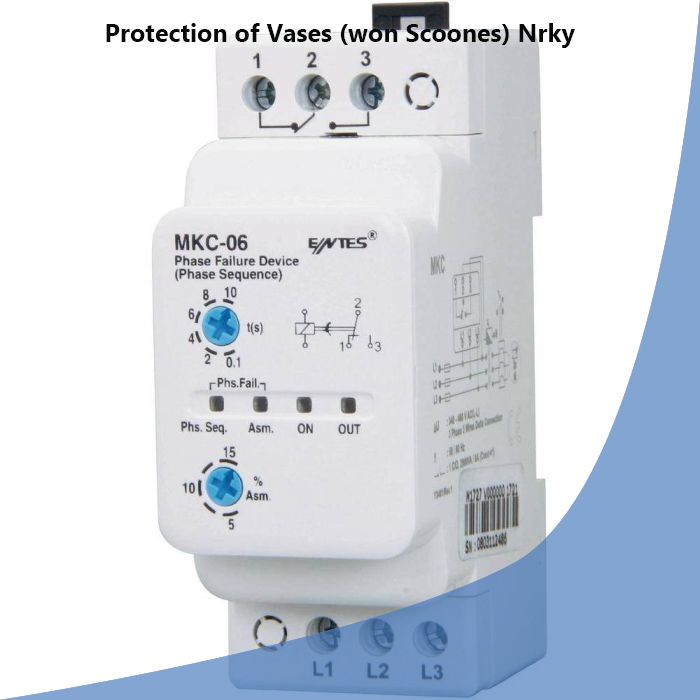 Protection of Vases (won Scoones) Nrky