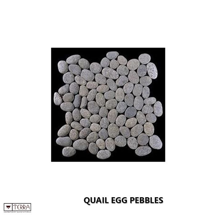 QUAIL EGG PEBBLES